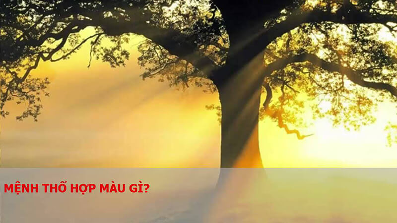 Người mạng Thổ