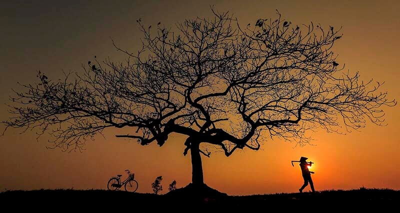 cách thay đổi vận