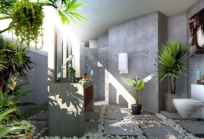 Cách trồng cây phong thủy theo chuyên gia