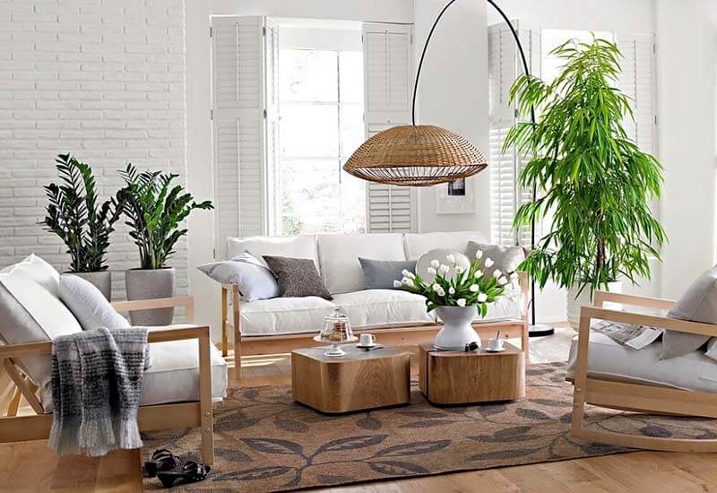 Trồng cây xanh trong nhà hoặc trước nhà