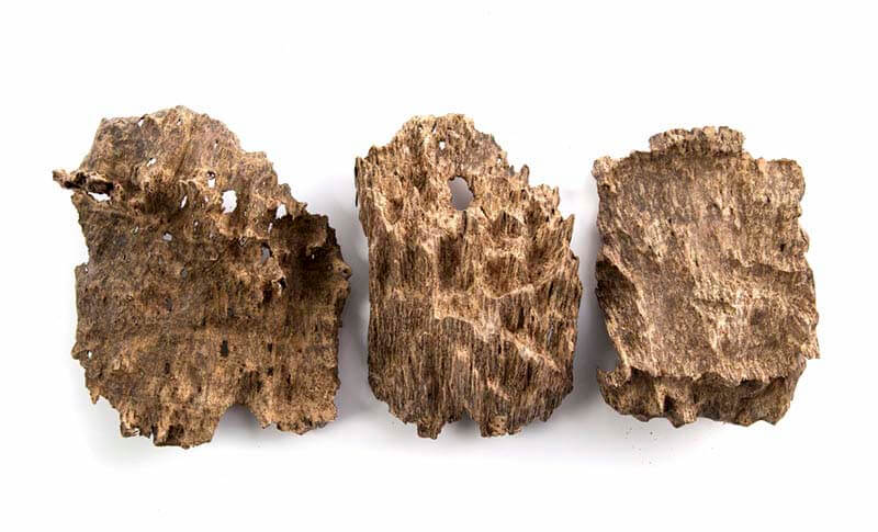 Đa số Kỳ Nam trên thị trường hiện nay là hàng giả, nhái