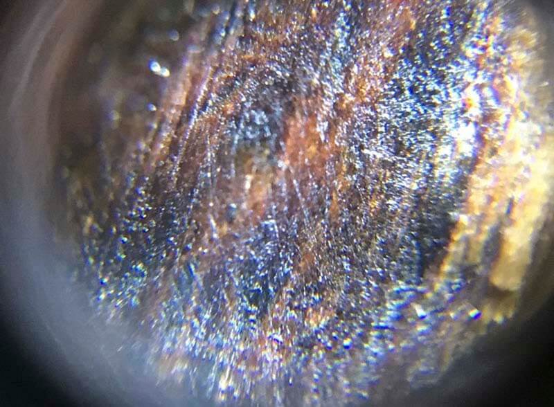 Kỳ Nam có lượng dầu khá lớn nên nhìn sẽ ẩm hơn